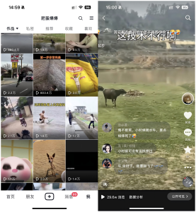 抖音【肥蛋爆爆】转发搬运技术 无需软件 纯手法 轻松跑百万播放！-免费项目网
