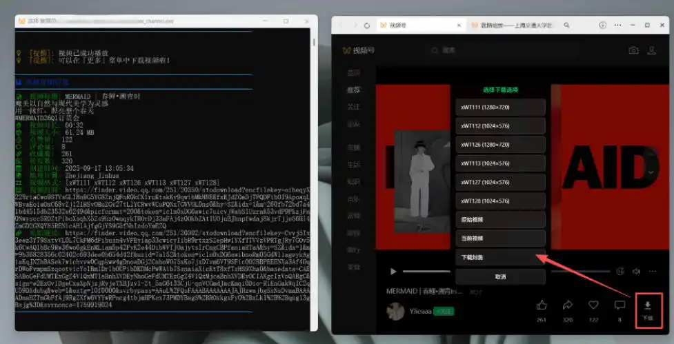 Github热门工具，视频号下载神器又来了！一键注入下载按钮，轻松下载，使用便捷wx_channel-免费项目网
