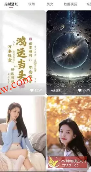牛牛小组件1.5.10高级版 牛牛小组件1.5.10高级版