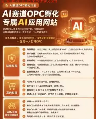 【首发】OPC一人公司项目,单日500+,手机电脑不限制,打造属于自己的品牌画布AI产品,收费陪跑【揭秘】