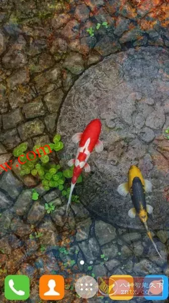 Water Garden Live Wallpaper 锦鲤3D动态壁纸2.08专业版 Water Garden Live Wallpaper 锦鲤3D动态壁纸2.08专业版