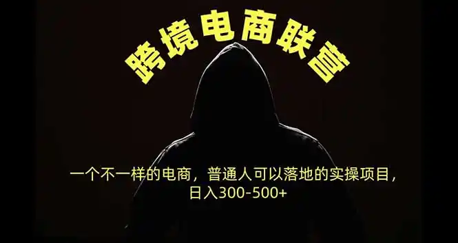 跨境电商联营，一个不一样的电商，普通人可操作日入300-500+-免费项目网
