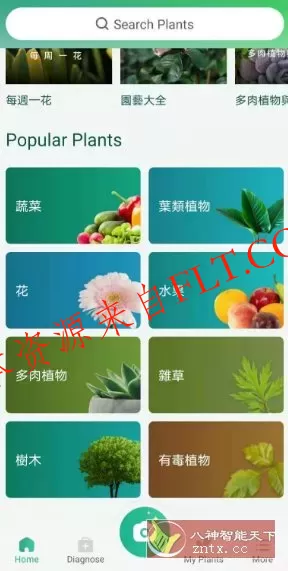 PictureThis 植物识别v5.25.0专业版