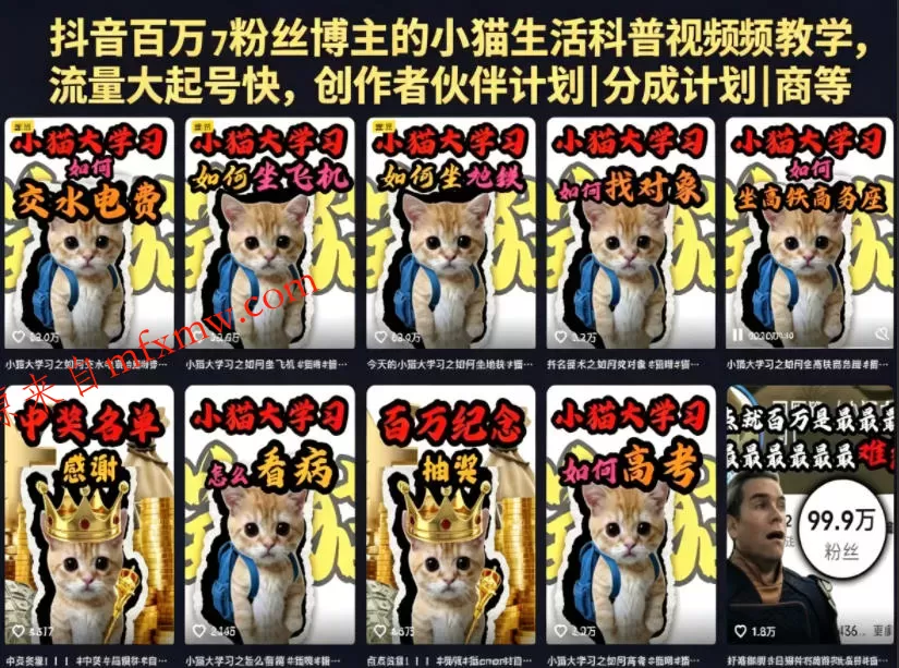 抖音百万粉丝博主的小猫生活科普视频教学，流量大起号快，创作者伙伴计划|分成计划|商单|收徒等