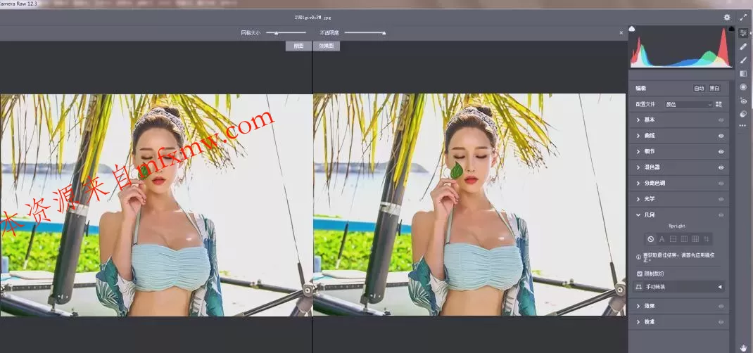 RAW处理Adobe Camera Raw v18.3.1中文版