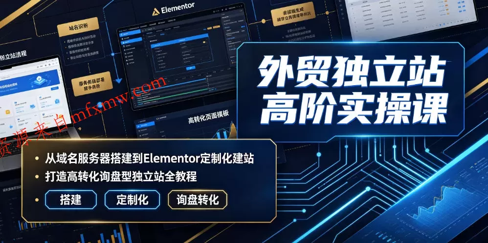 外贸独立站高阶实操课｜从域名服务器搭建到Elementor定制化建站，打造高转化询盘型独立站全教程