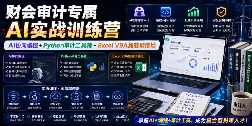 财会审计专属AI实战训练营|AI协同编程+Python审计工具箱+Excel VBA加载项落地(更新0816)