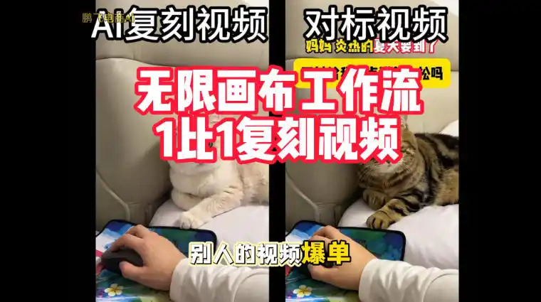 宠物带货视频复刻,无限画布工作流1比1,不用拍摄、不用布景、不用真人出镜,几分钟就能做出一条专业带货视频-免费项目网