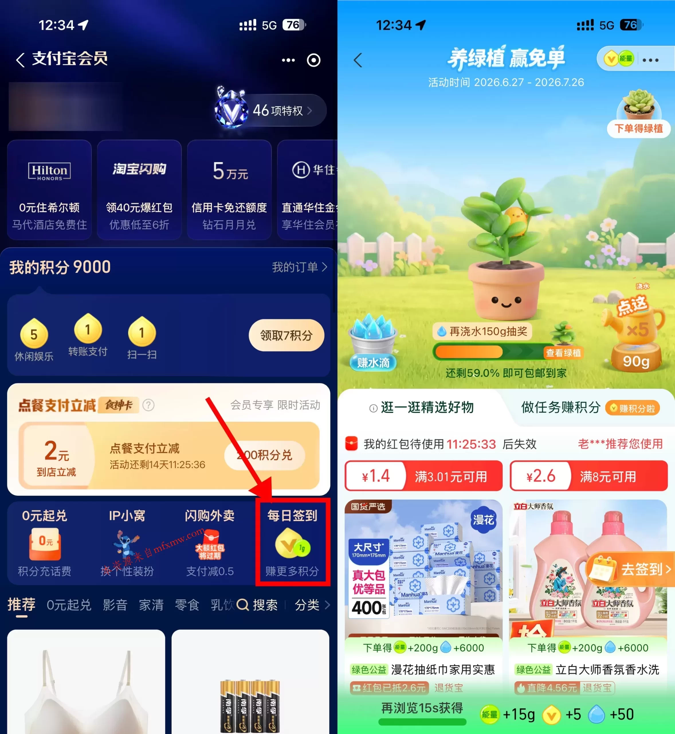 支付宝养绿植领实物绿植免单-免费项目网