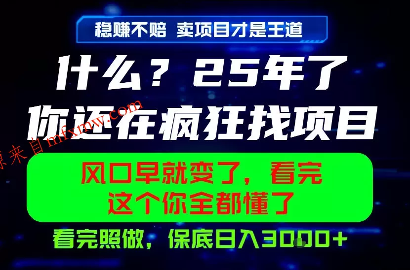 26年,请不要疯狂的找项目做了!卖项目才是真的稳賺不赔,看完照做,保底日入1k+【揭秘】
