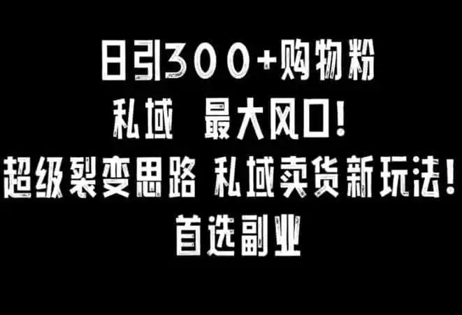 日引300+购物粉,超级裂变思路,私域卖货新玩法,小红书首选副业【揭秘】