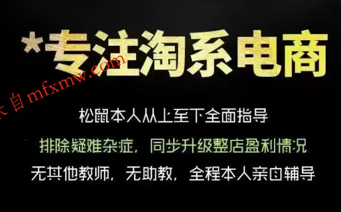 松鼠会电商VIP课程,从基础布局到高阶优化,助你掌握淘宝运营逻辑,提升店铺流量与转化(更新0711)