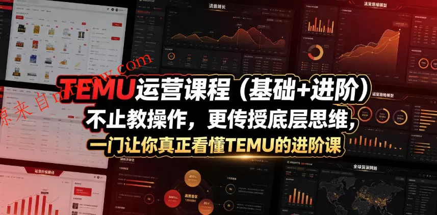 TEMU运营课程（基础+进阶），不止教操作，更传授底层思维，一门让你真正看懂TEMU的进阶课