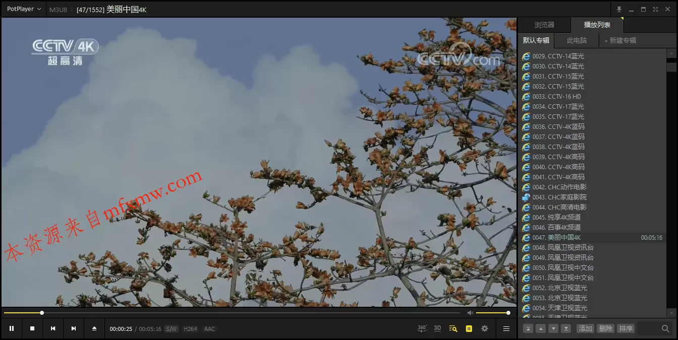 PotPlayer v1.7.22980绿色版