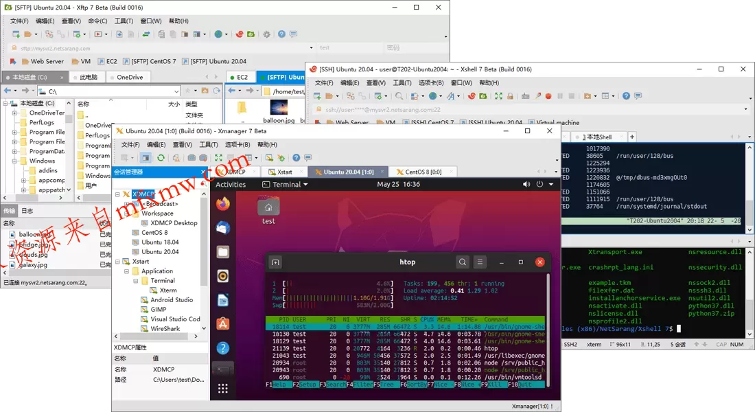 Xmanager8/Xshell8/Xftp8 Xmanager8/Xshell8/Xftp8