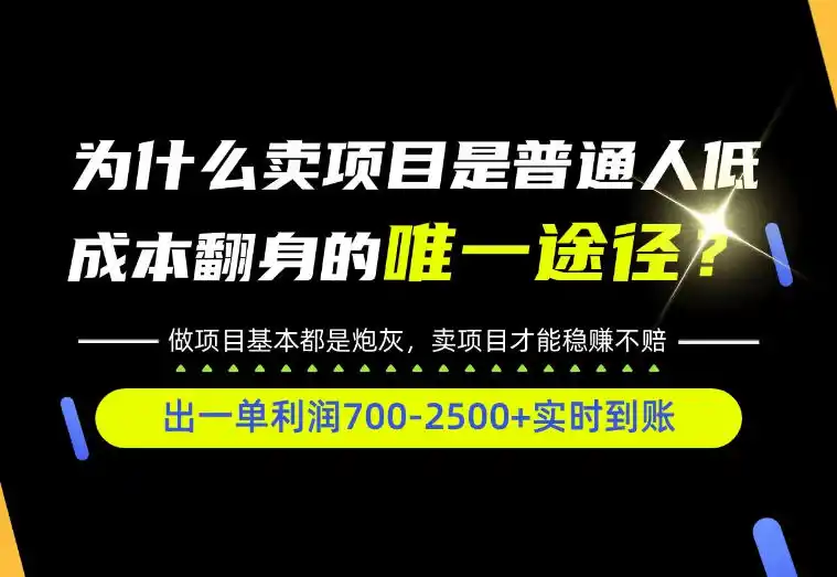 普通人如何靠互联网賺取自己的第一桶金！全类目实操型教学，看完你全都懂了！【揭秘】-免费项目网