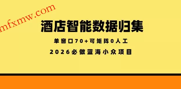 酒店智能数据归集，小众蓝海已经稳定半年之久，单窗口70+零成本矩阵开干【揭秘】