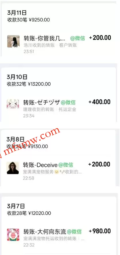 宠物托运阳光赛道賺钱教学，小众高刚需冷门项目，日均10单稳定盈利，单均利润200+