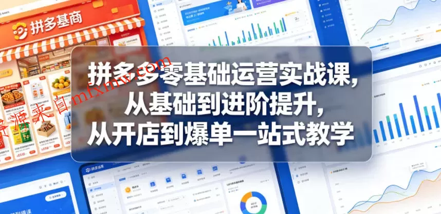 拼多多零基础运营实战课，从基础到进阶提升，从开店到爆单一站式教学