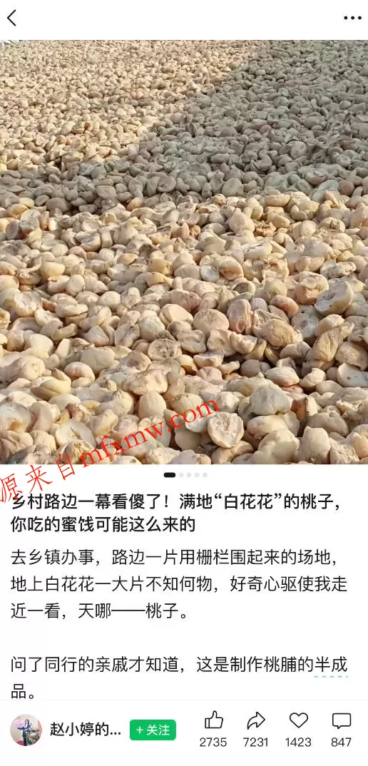 公众号小绿书贴图项目,赚收益实操玩法,听话照听话照少走90%弯路丨副业可做