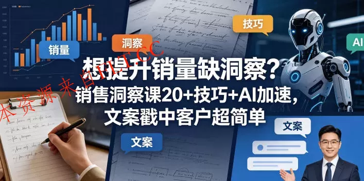 想提升销量缺洞察?销售洞察课20+技巧+AI加速,文案戳中客户超简单【原创双语字幕】