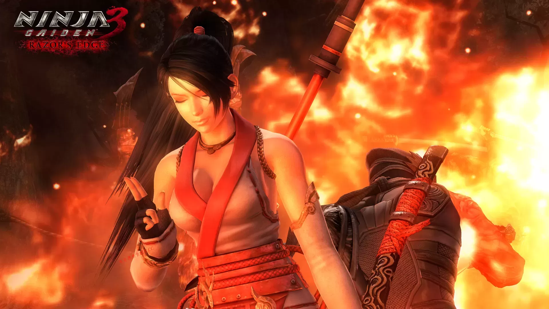 《忍者龙剑传：大师合集》中文版