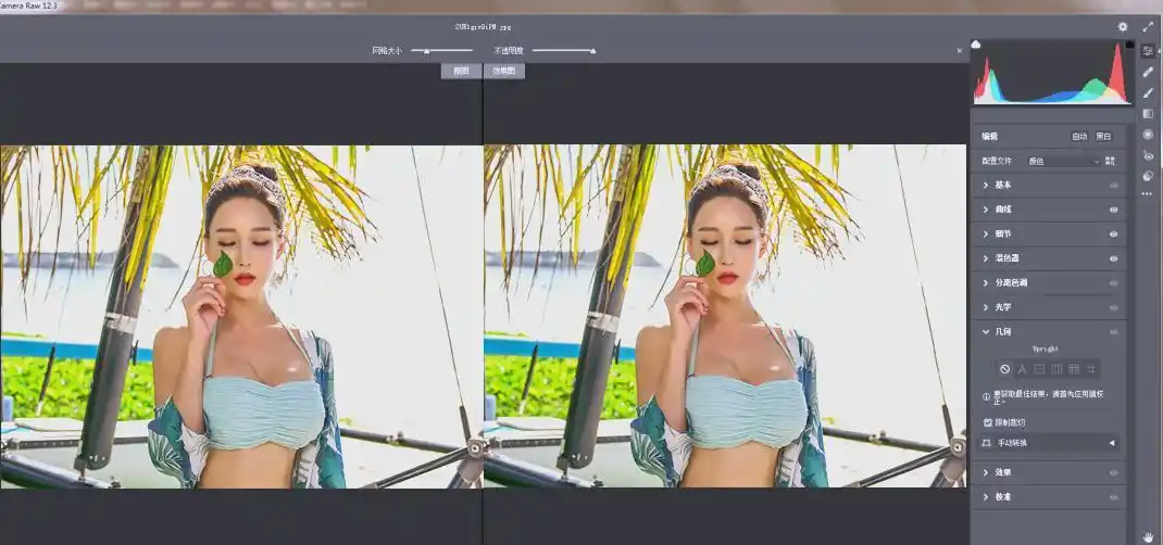 RAW处理Adobe Camera Raw v18.7.0中文版-免费项目网