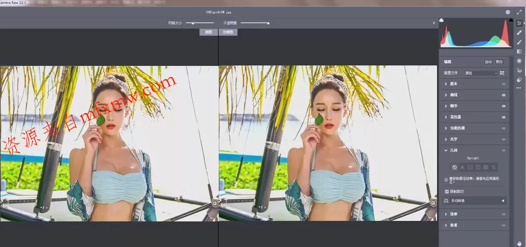 RAW处理Adobe Camera Raw v18.3.0中文版