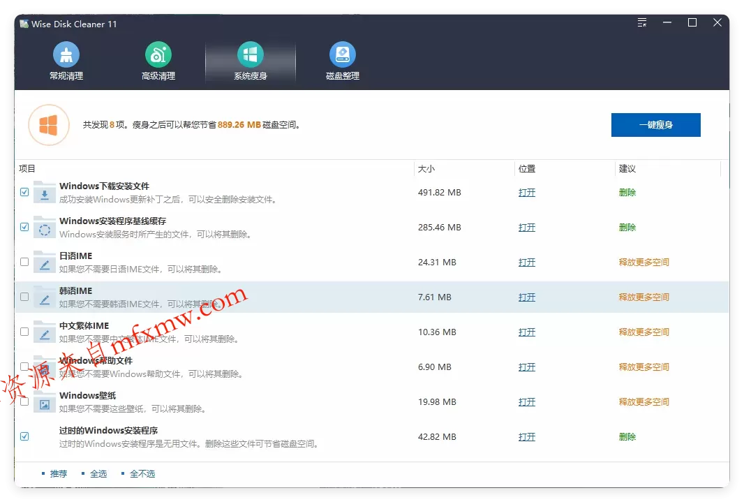 Wise Disk Cleaner v11.3.5.855绿色版