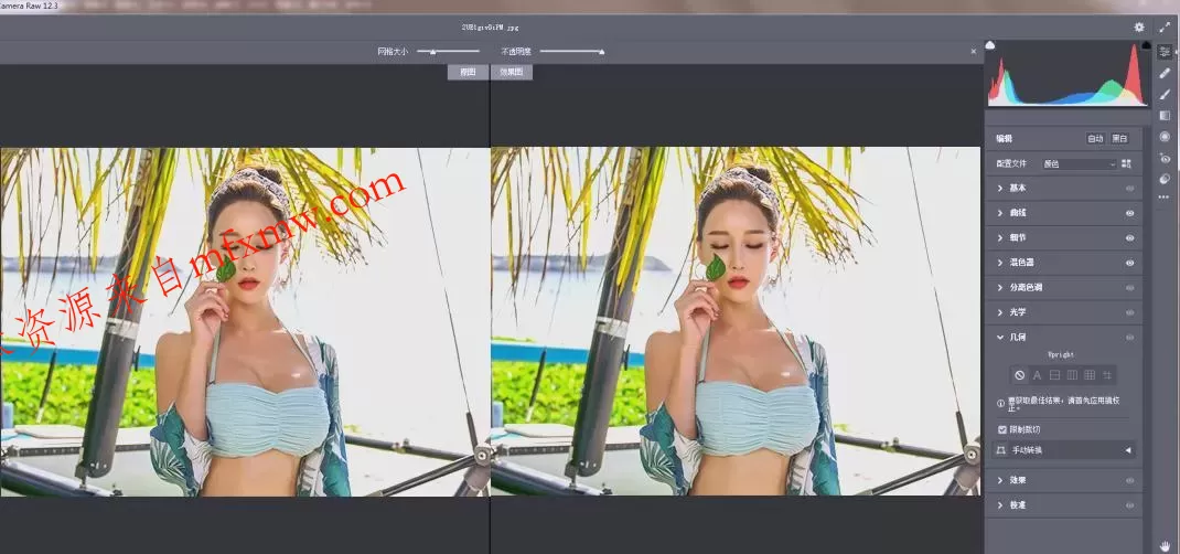 RAW处理Adobe Camera Raw v18.3.2中文版