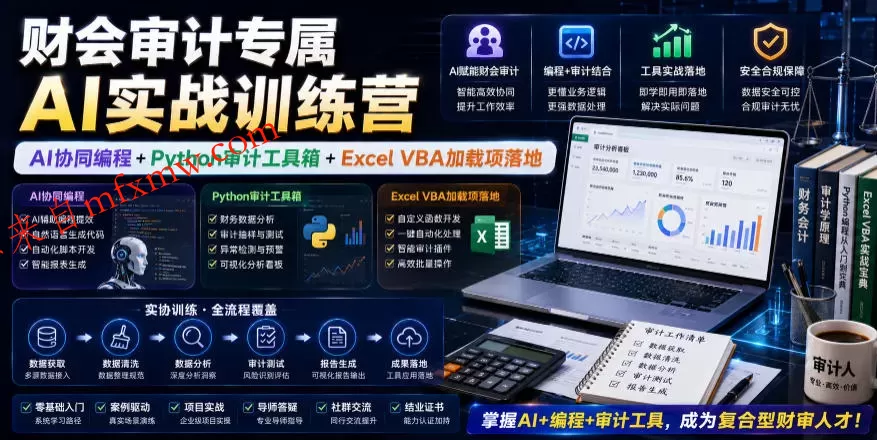 财会审计专属AI实战训练营|AI协同编程+Python审计工具箱+Excel VBA加载项落地(更新0710)